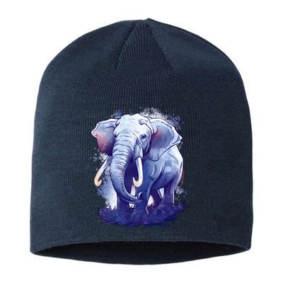 Elephant Colorful Art Sustainable Beanie