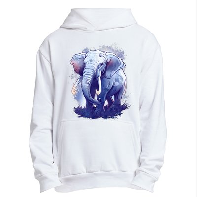 Elephant Colorful Art Urban Pullover Hoodie