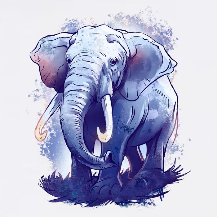 Elephant Colorful Art Women's V-Neck T-Shirt