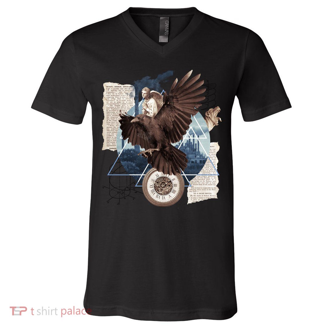 Eagle Collage Ancient Artifact Piece V-Neck T-Shirt
