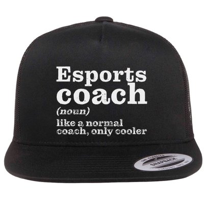 Esports Coaches Are Cooler Funny Appreciation Flat Bill Trucker Hat