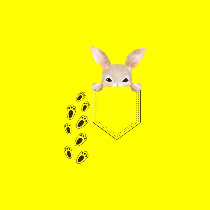 Easter Cute Bunny In Pocket Rabbit Footprints Button