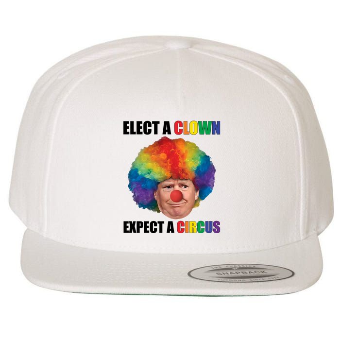 Elect Clown Expect A Circus Anti Trump Wool Snapback Cap
