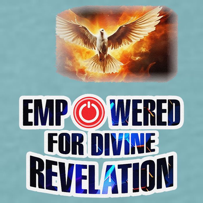 Empowered Christian For Divine Revelation Christian Sueded Cloud Jersey T-Shirt
