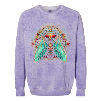 Entomology Cicada Fest 2024 Broods Xix & Xiii Love Colorblast Crewneck Sweatshirt