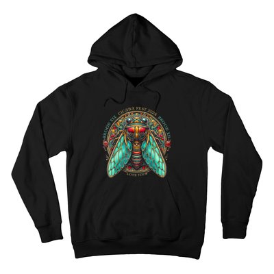 Entomology Cicada Fest 2024 Broods Xix & Xiii Love Hoodie