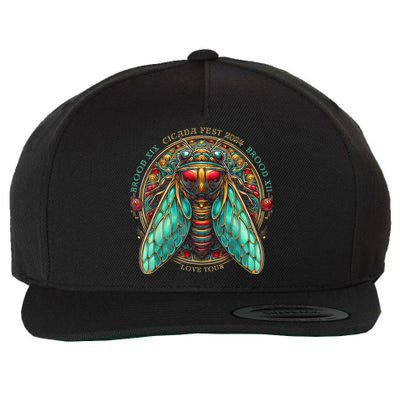 Entomology Cicada Fest 2024 Broods Xix & Xiii Love Wool Snapback Cap