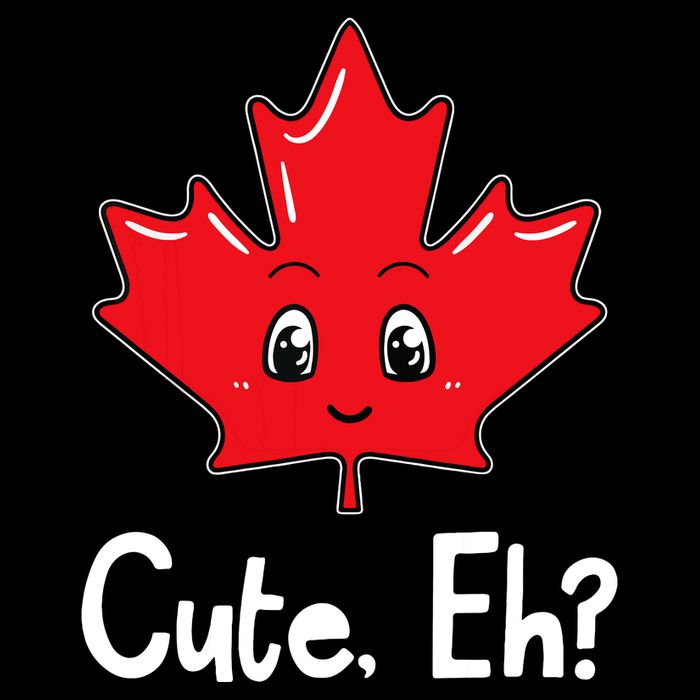 Eh Canadian Flag Maple Leaf Funny Canada Souvenir Tourist Cooling Performance Crew T-Shirt