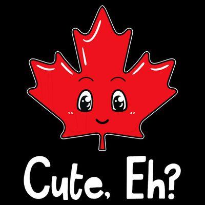 Eh Canadian Flag Maple Leaf Funny Canada Souvenir Tourist T-Shirt