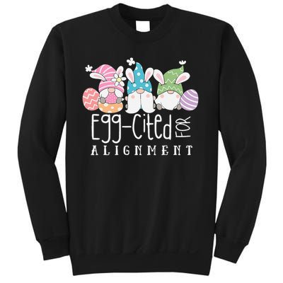 Easter Cute Gnomes Chiropractor Egg-cited For Alignment Sweatshirt