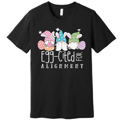 Easter Cute Gnomes Chiropractor Egg-cited For Alignment Premium T-Shirt