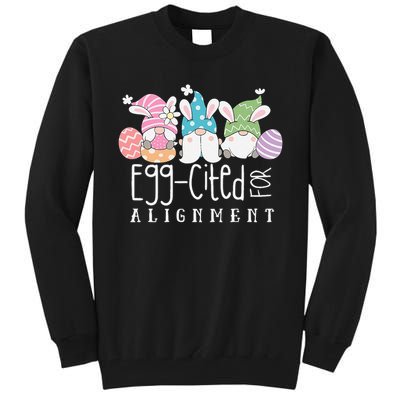 Easter Cute Gnomes Chiropractor Egg-cited For Alignment Tall Sweatshirt
