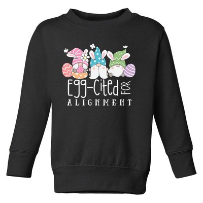 Easter Cute Gnomes Chiropractor Egg-cited For Alignment Toddler Sweatshirt