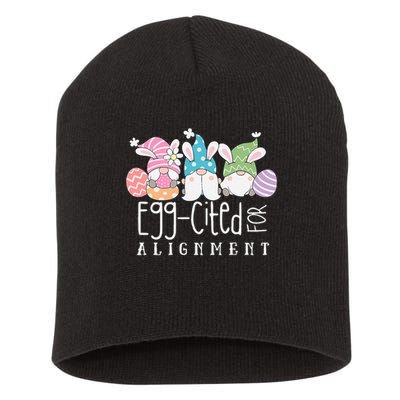 Easter Cute Gnomes Chiropractor Egg-cited For Alignment Short Acrylic Beanie