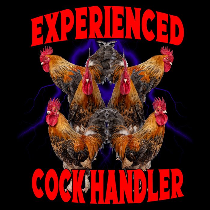 Experienced Cock Handler Fighter Funny Mug