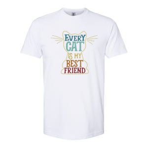 Every Cat Is My Best Friend Cat Mom Cat Lovers Funny Cat Gift Softstyle CVC T-Shirt