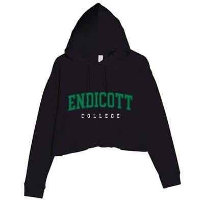 Endicott College Retro Crop Fleece Hoodie