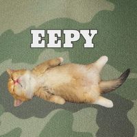 Eepy Cat Sleepy Cat Meme Legacy Tie Dye Trucker Hat