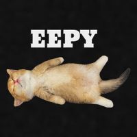 Eepy Cat Sleepy Cat Meme Ladies PosiCharge Tri-Blend Wicking Tank