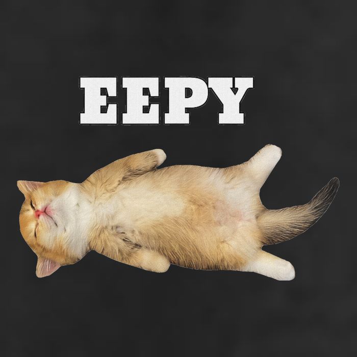 Eepy Cat Sleepy Cat Meme Garment-Dyed Fleece Hoodie