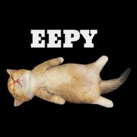 Eepy Cat Sleepy Cat Meme Performance Shirt