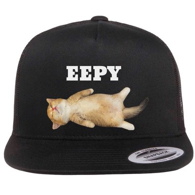 Eepy Cat Sleepy Cat Meme Flatbill Hat