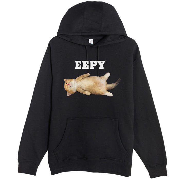 Eepy Cat Sleepy Cat Meme Premium Pullover Hoodie