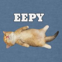 Eepy Cat Sleepy Cat Meme Garment-Dyed Sweatshirt