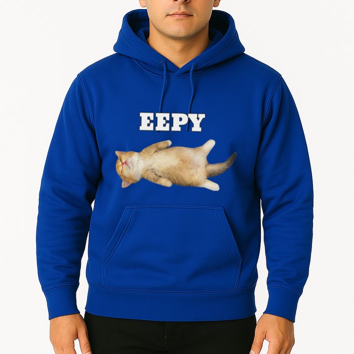 Eepy Cat Sleepy Cat Meme Hoodie