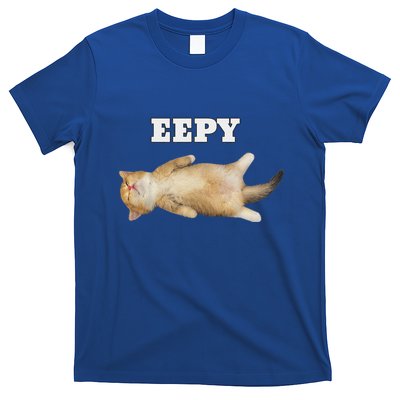Eepy Cat Sleepy Cat Meme T-Shirt