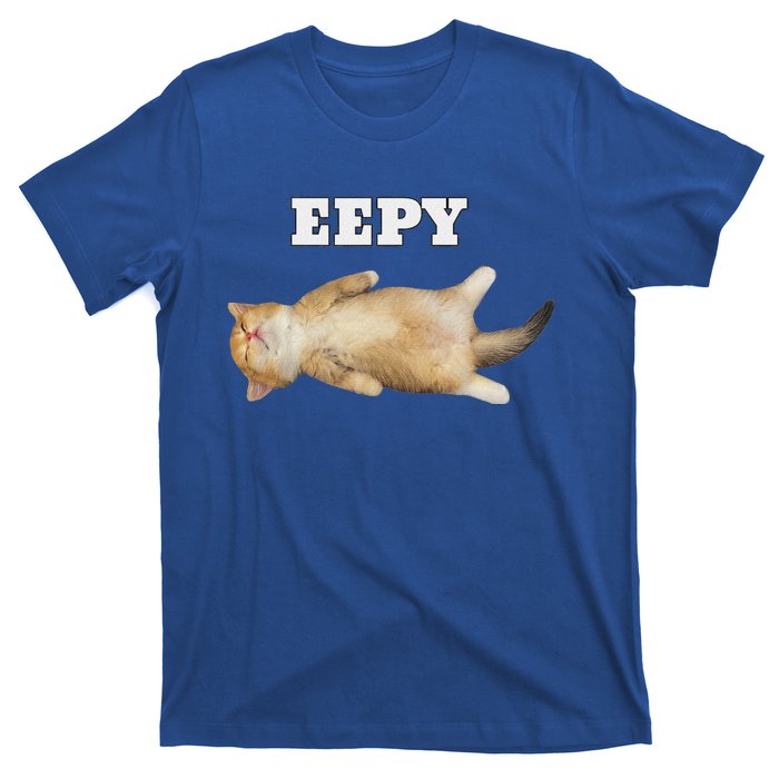 Eepy Cat Sleepy Cat Meme T-Shirt