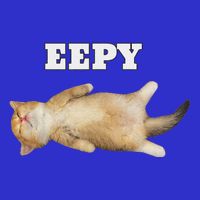 Eepy Cat Sleepy Cat Meme T-Shirt