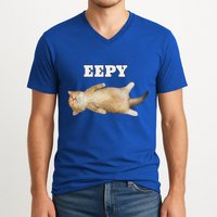 Eepy Cat Sleepy Cat Meme V-Neck T-Shirt