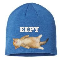 Eepy Cat Sleepy Cat Meme Sustainable Beanie