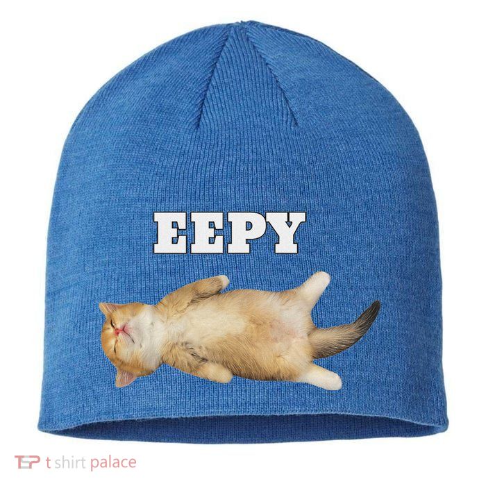 Eepy Cat Sleepy Cat Meme Sustainable Beanie