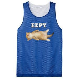 Eepy Cat Sleepy Cat Meme Mesh Reversible Basketball Jersey Tank