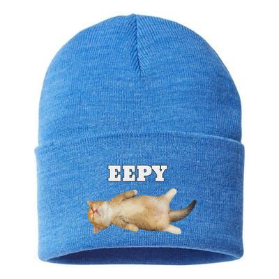 Eepy Cat Sleepy Cat Meme Sustainable Knit Beanie