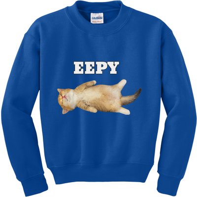 Eepy Cat Sleepy Cat Meme Kids Sweatshirt