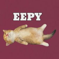 Eepy Cat Sleepy Cat Meme 16oz Travel Tumbler