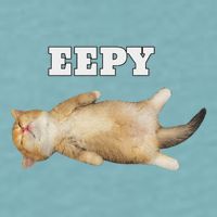 Eepy Cat Sleepy Cat Meme Sueded Cloud Jersey T-Shirt