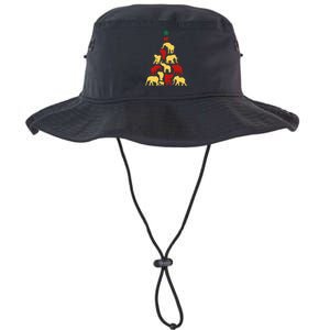 Elephant Christmas tree South Africa Safari animals Legacy Cool Fit Booney Bucket Hat