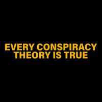 Every Conspiracy Theory Is True Funny Flat Bill Trucker Hat