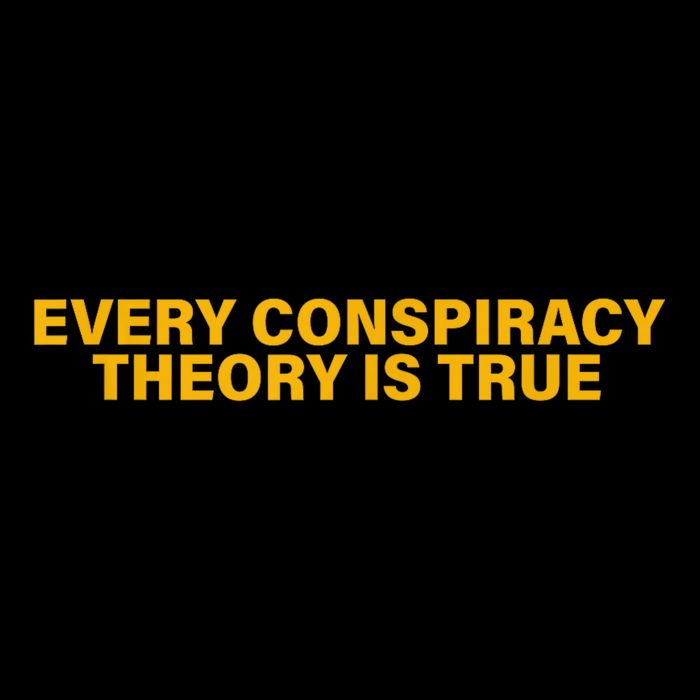 Every Conspiracy Theory Is True Funny Flat Bill Trucker Hat