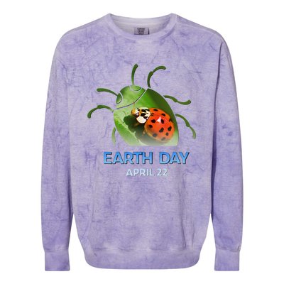 Earth Day April 22 Ladybug Silhouette Gift Cute Colorblast Crewneck Sweatshirt