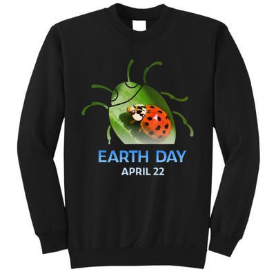 Earth Day April 22 Ladybug Silhouette Gift Cute Sweatshirt