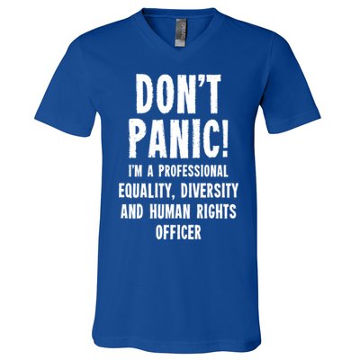 Equality Diversity And Hu Rights Officer Gift V-Neck T-Shirt