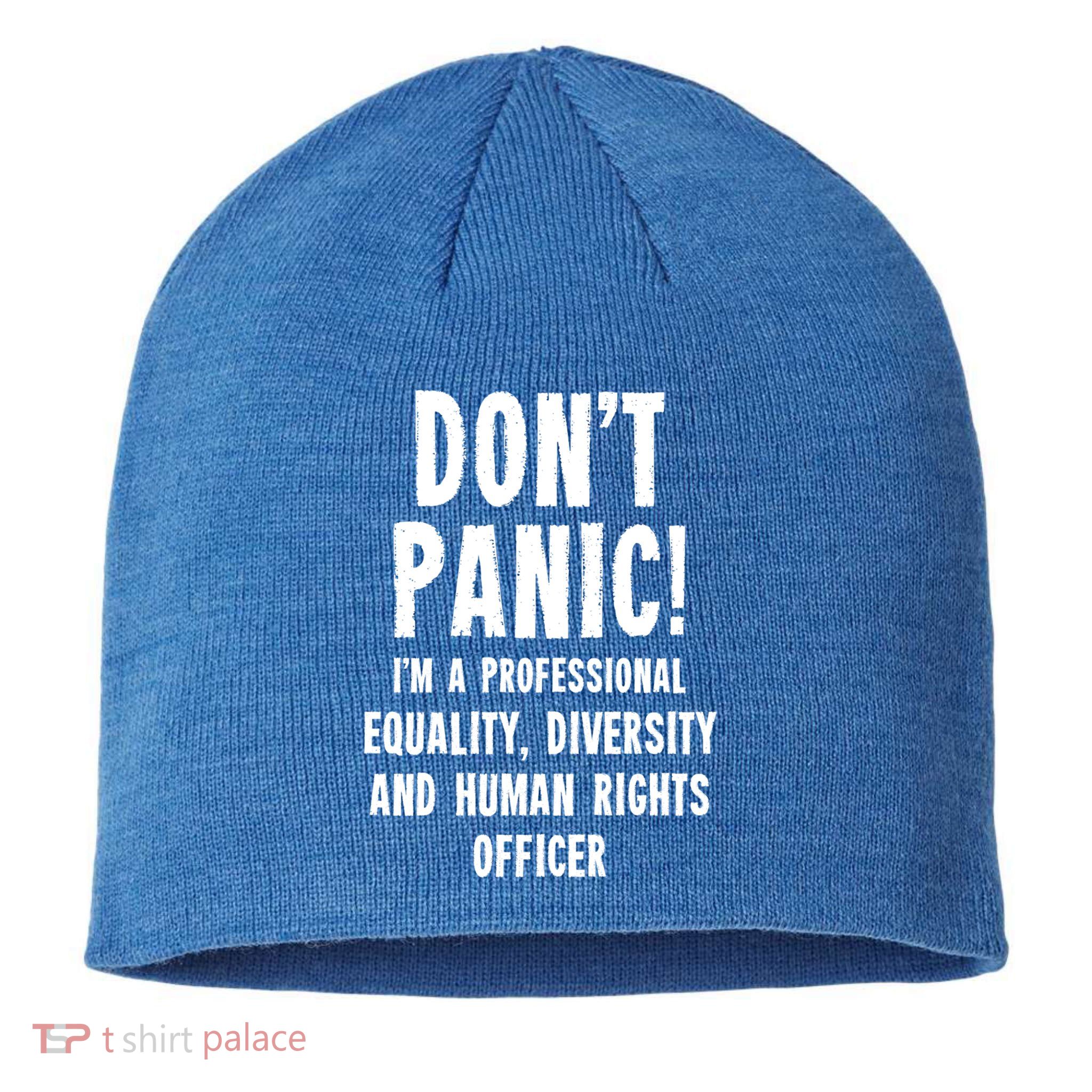 Equality Diversity And Hu Rights Officer Gift Sustainable Beanie