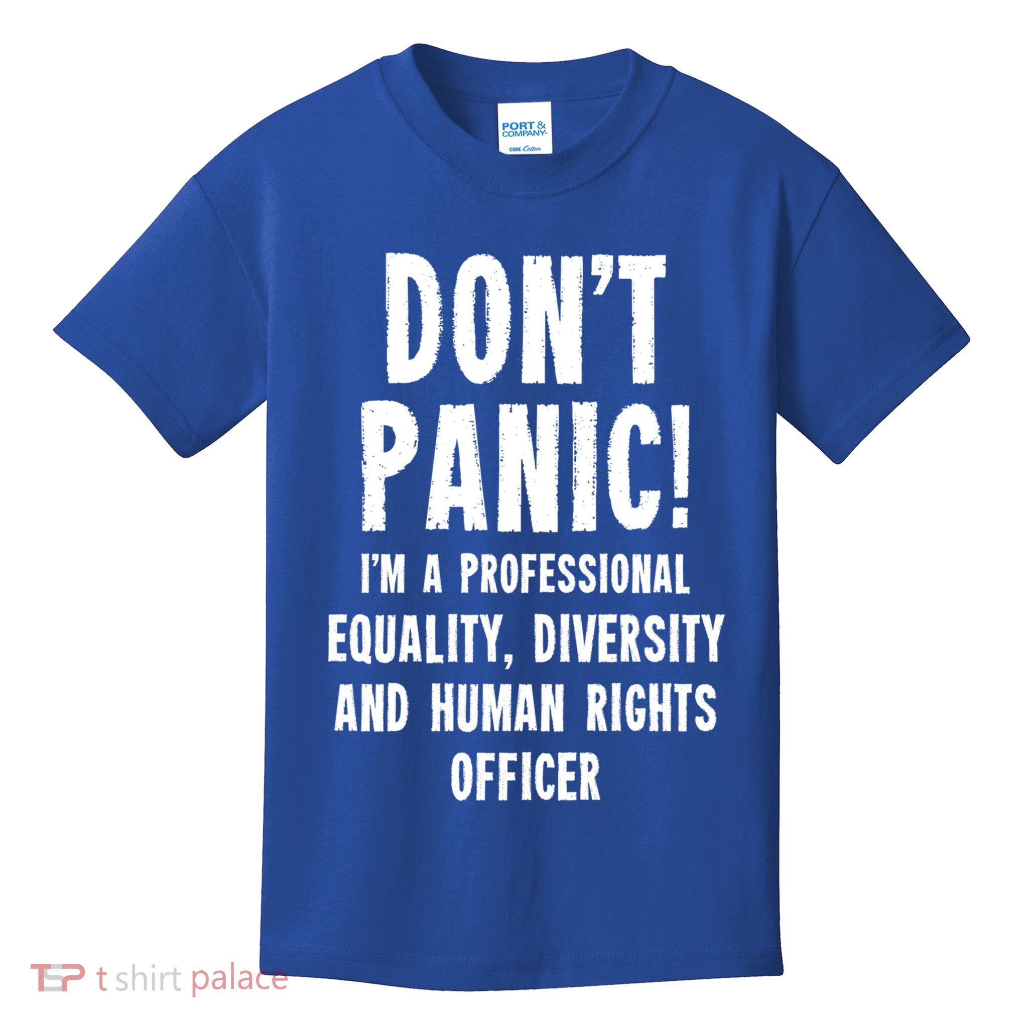 Equality Diversity And Hu Rights Officer Gift Kids T-Shirt