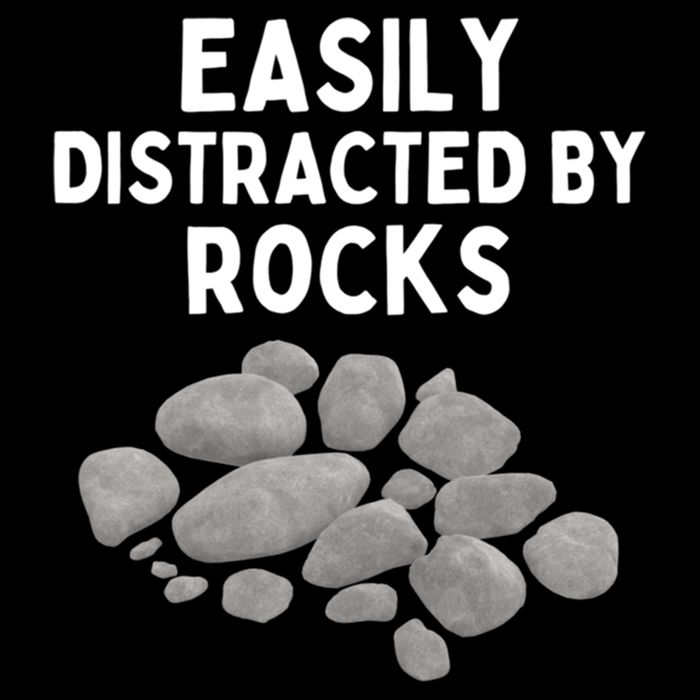 Easily Distracted By Rocks Funny Rock Lover Gift Bucket Hat