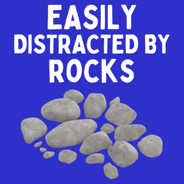 Easily Distracted By Rocks Funny Rock Lover Gift Mesh Reversible Basketball Jersey Tank